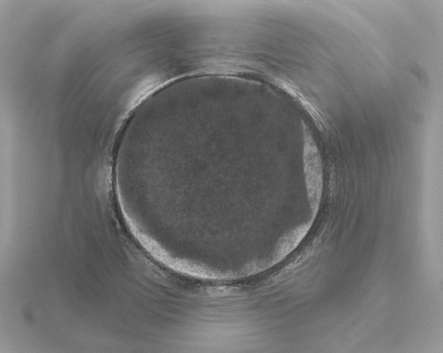 X0000115041459200912071059