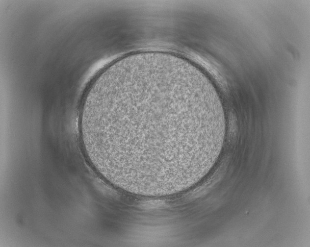 X0000115041462200912071059