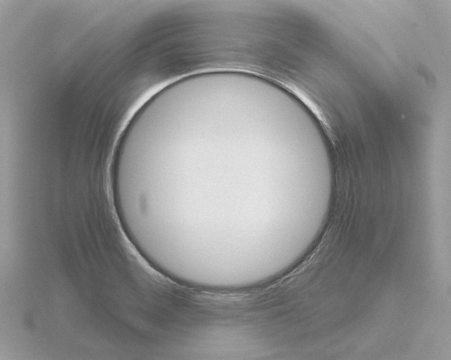 X0000115041468200912071059