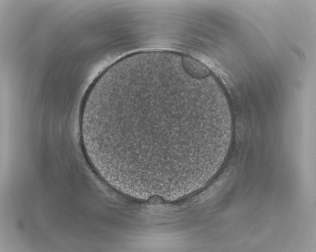 X0000115041469200912071059