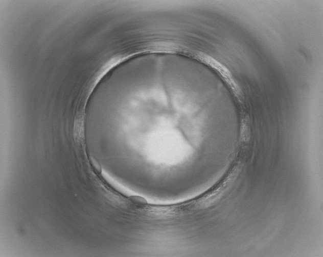 X0000115041473200912071059