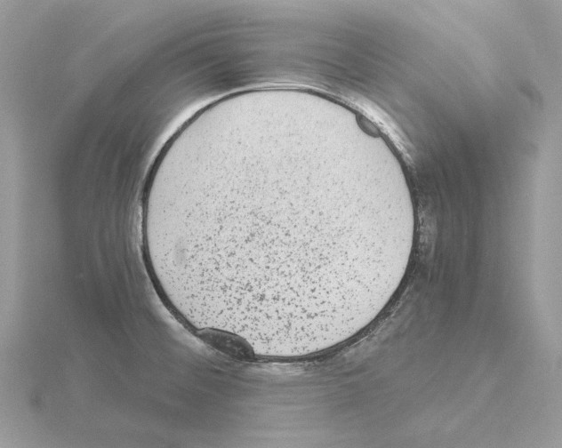 X0000115041476200912071059