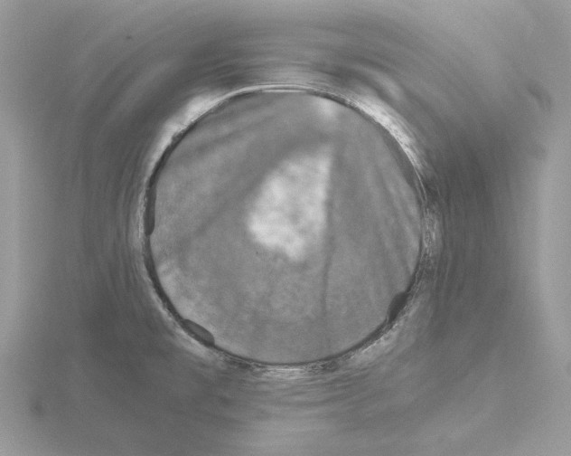 X0000115041477200912071059