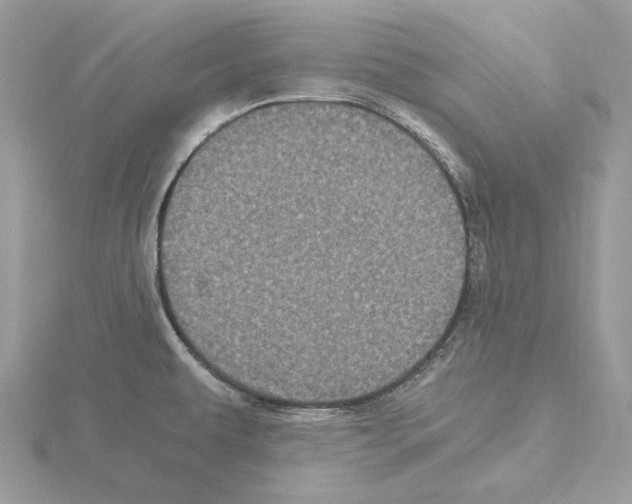 X0000115041479200912071059