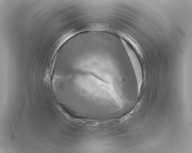 X0000115041481200912071059