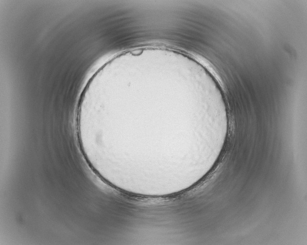 X0000115041482200912071059