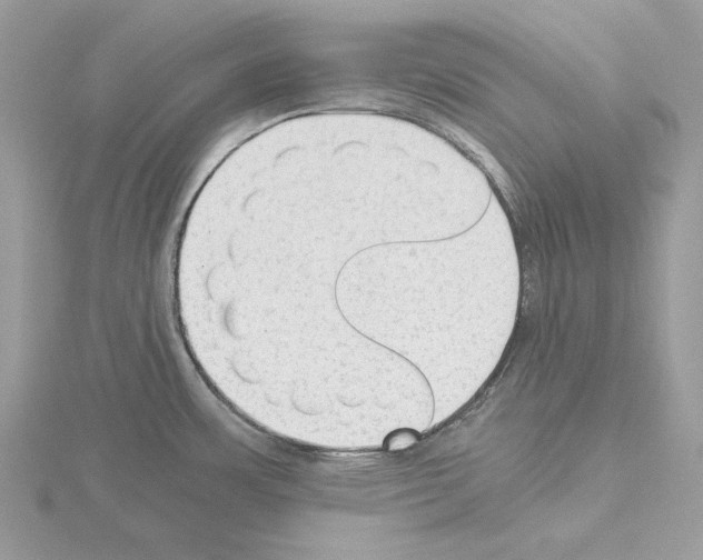 X0000115041483200912071059