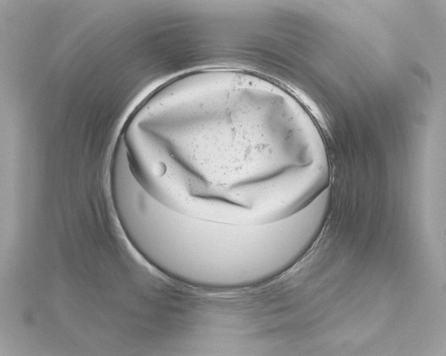 X0000115041484200912071059