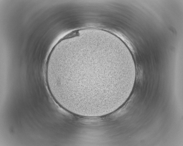 X0000115041486200912071059