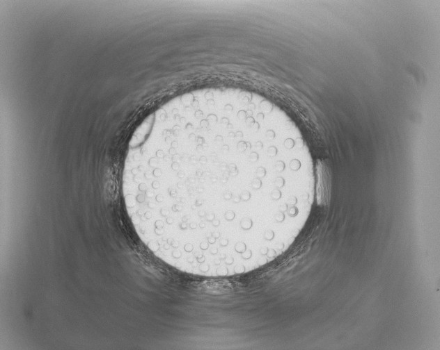 X0000115041491200912071058