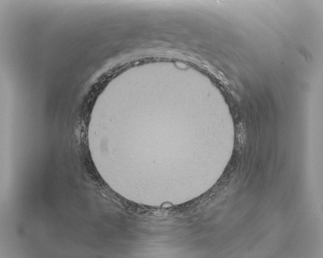 X0000115041495200912071058