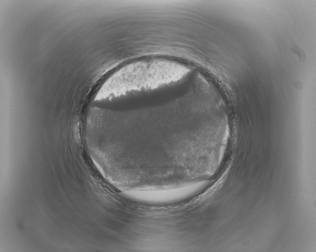 X0000115041497200912071058