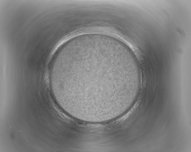 X0000115041498200912071058