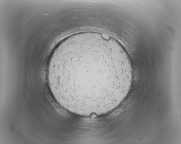 X0000115041499200912071058