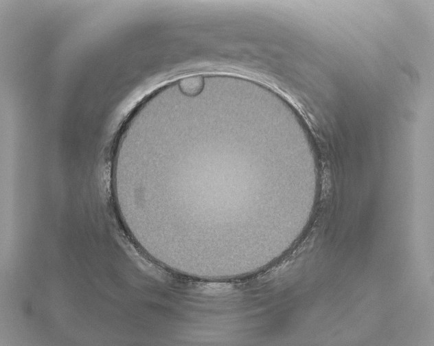 X0000115041503200912071058