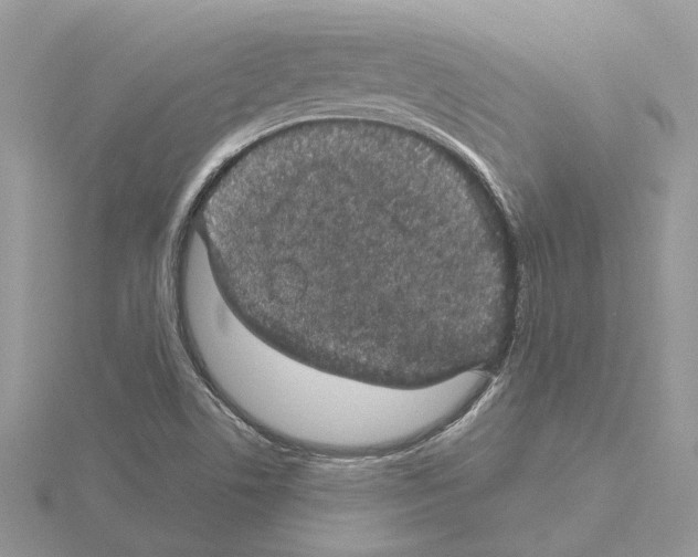 X0000115041506200912071058