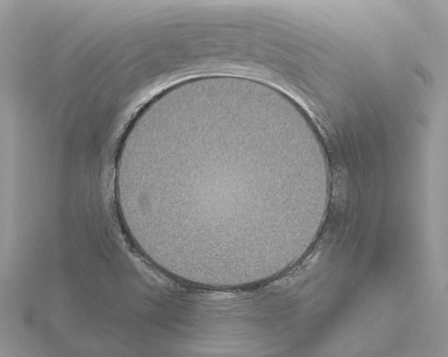 X0000115041507200912071058