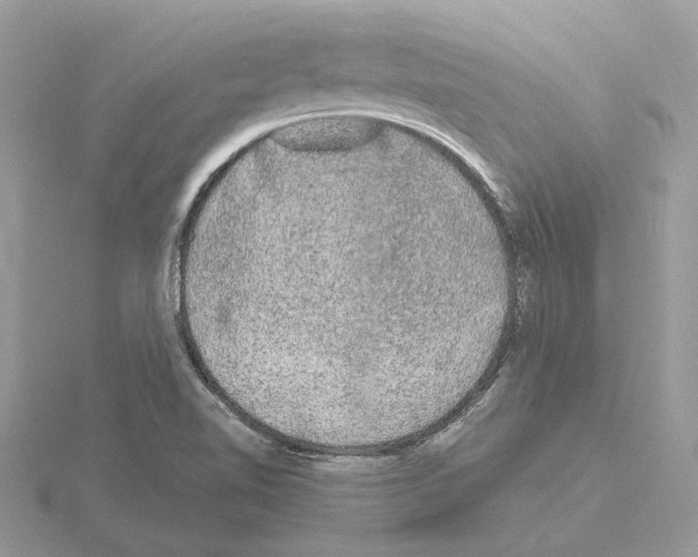 X0000115041510200912071058