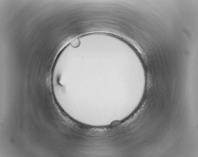 X0000115041513200912071058