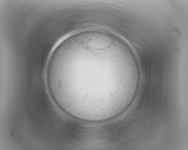 X0000115041514200912071058