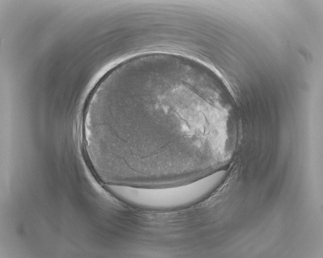 X0000115041515200912071058