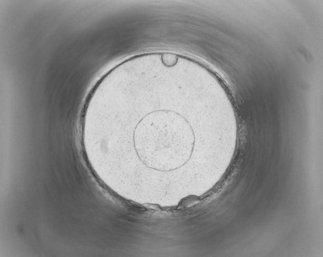 X0000115041517200912071058