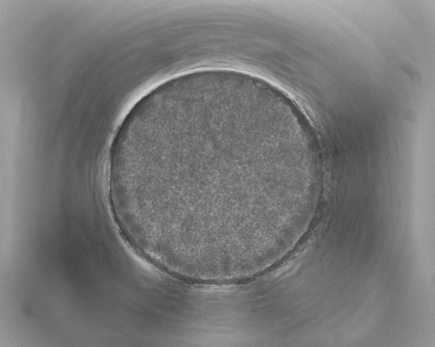 X0000115041519200912071058