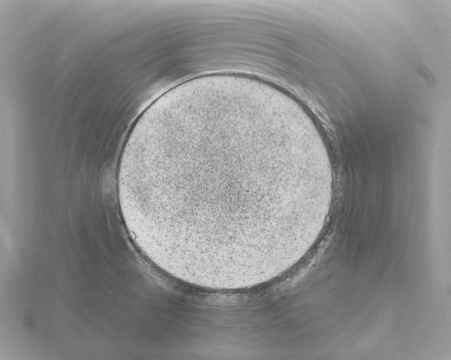 X0000115041521200912071058