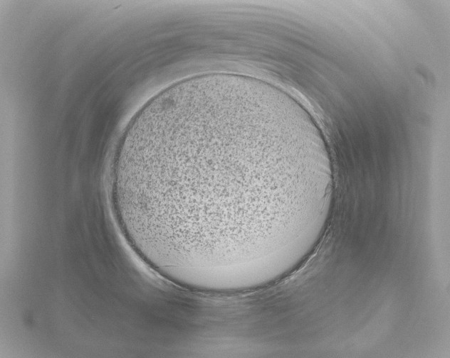 X0000115041523200912071058