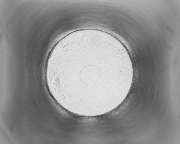 X0000115041525200912071058