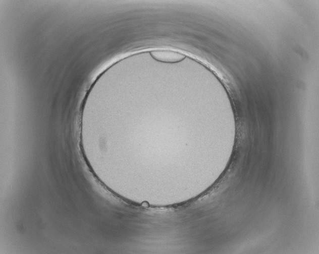 X0000115041526200912071058