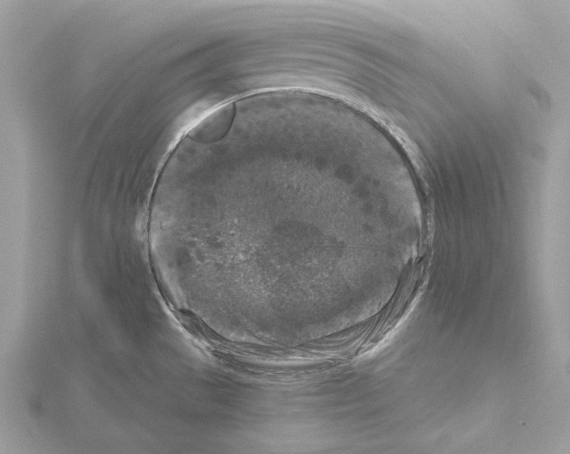 X0000115041529200912071059