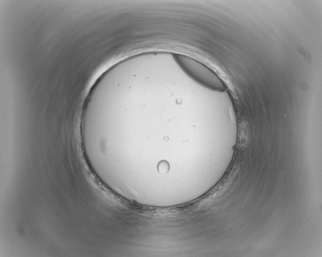 X0000115041530200912071059