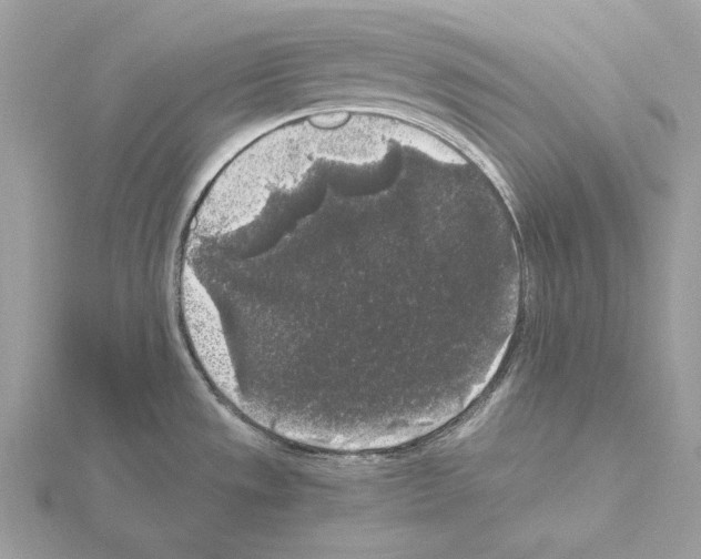 X0000115041533200912071059