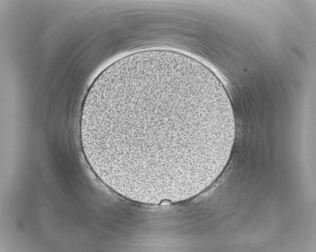 X0000115041534200912071059