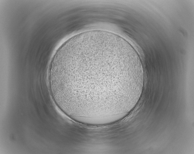 X0000115041535200912071059