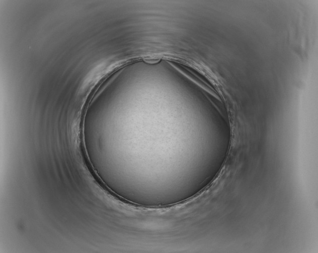 X0000115050002200911091435