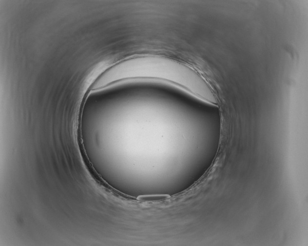 X0000115050003200911091435