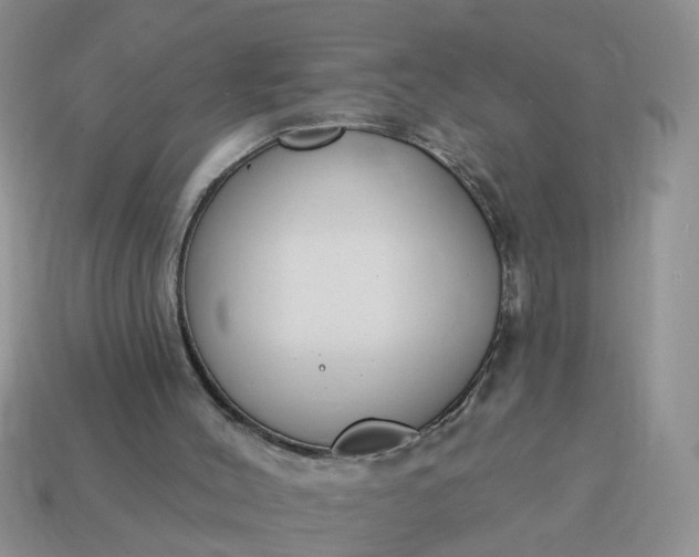 X0000115050004200911091435