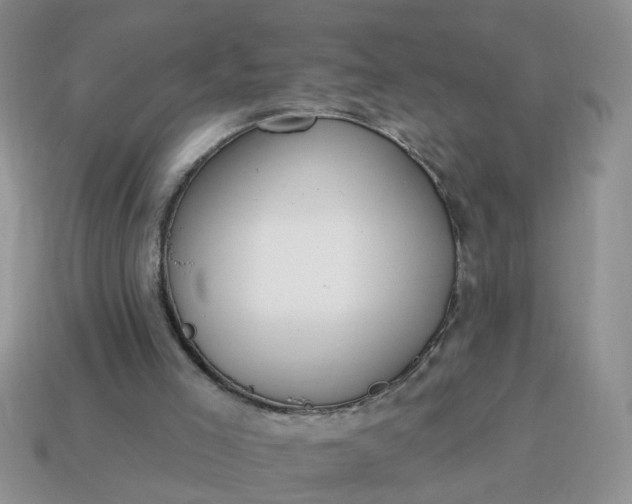 X0000115050005200911091435