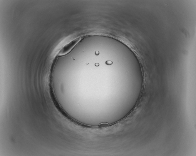 X0000115050007200911091435