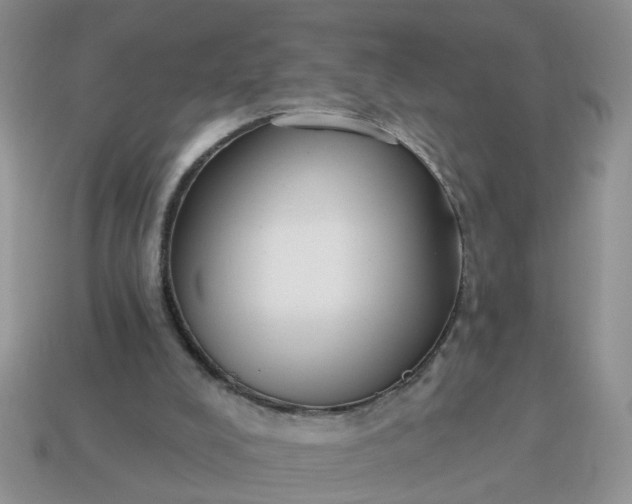 X0000115050008200911091435
