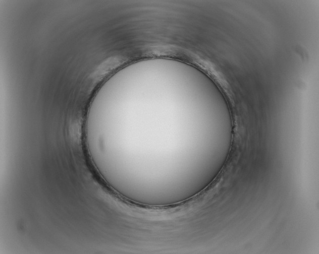 X0000115050010200911091435