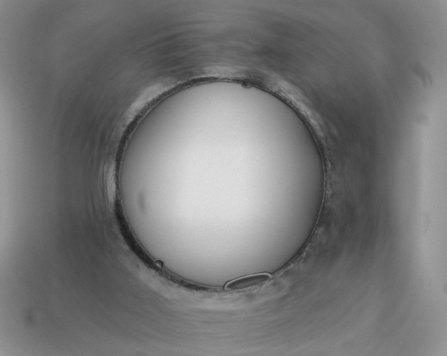 X0000115050011200911091435