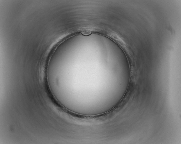 X0000115050012200911091435