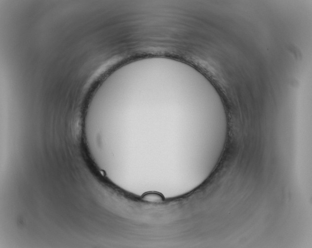 X0000115050016200911091435