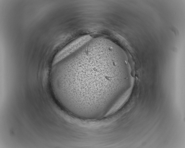 X0000115050018200911091435