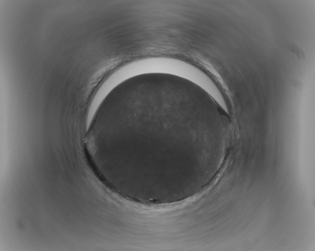 X0000115050019200911091435
