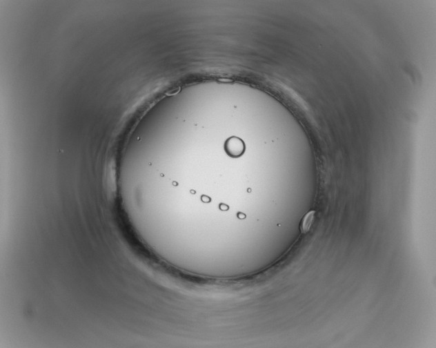 X0000115050020200911091435