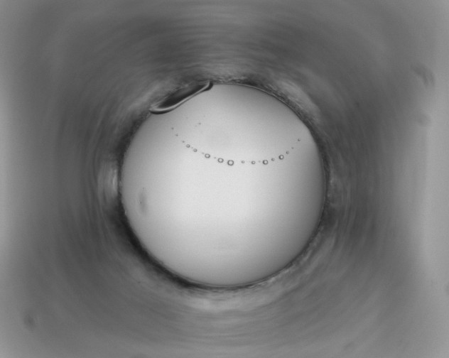 X0000115050021200911091434